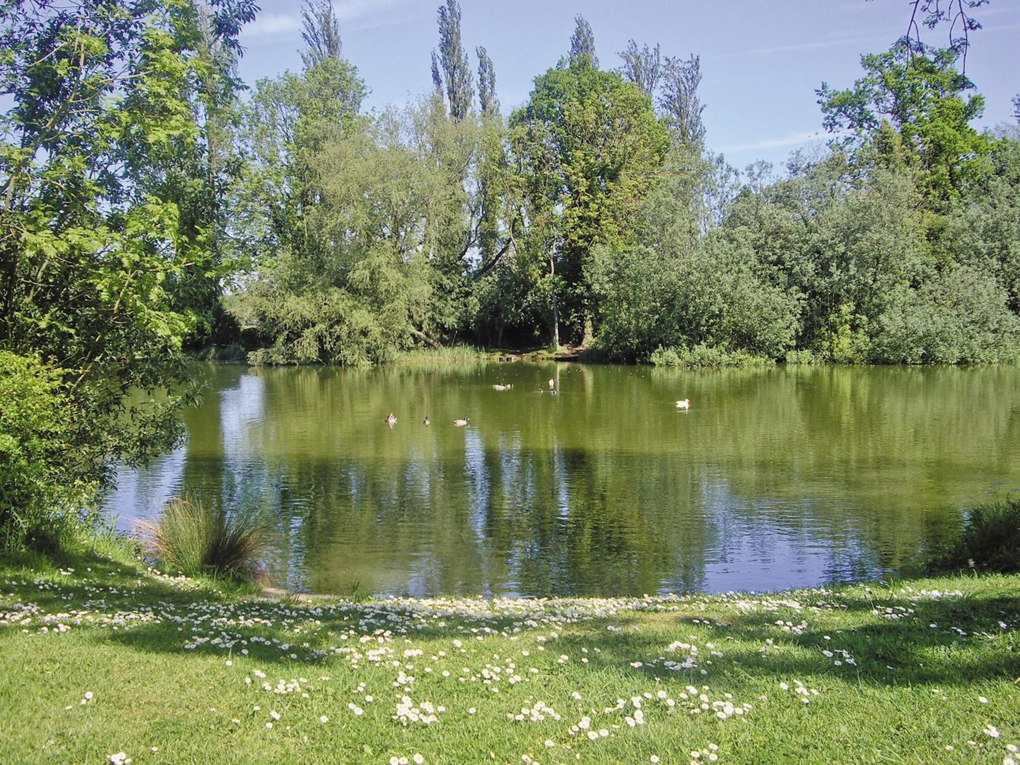 Вилла Peacock Barn - E5479 Martin  Экстерьер фото